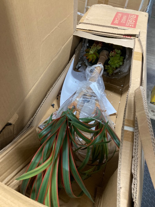 View 2 of **is broken **32" Real Touch Artificial Dracaena with Artificial Moss and Undergrowth Perfect for Indoor and Outdoor Decor