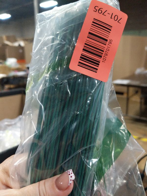 Photo 1 of 100 Pcs Floral Stems Wire for Paper Flower,14 Inch 2 Gauge Dark Green Floral Stem Wire,Crafting Floral Stem for Flower Arrangements DIY,Bouquet Stem Wrapping and Crafts