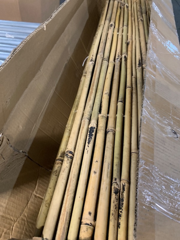 Photo 1 of ***STOCK PHOTO FOR REFERENCE ONLY***
Natural Rolled Bamboo Fence, Eco-Friendly Bamboo Fencing, 4 ft High x 6 ft Long