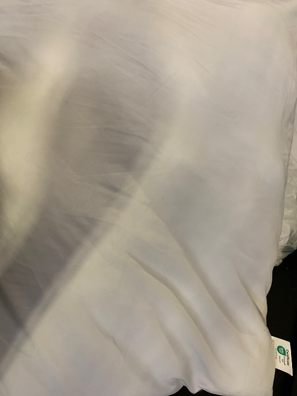 Photo 1 of oeko tex standard 100 bed pillows