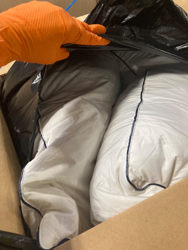 Photo 1 of ** USED** Pacific Coast Premium Goose Feather & Down Bed Pillows King Size 2-Pack, Hotel Quality Collection, Medium Support for Side & Back Sleepers