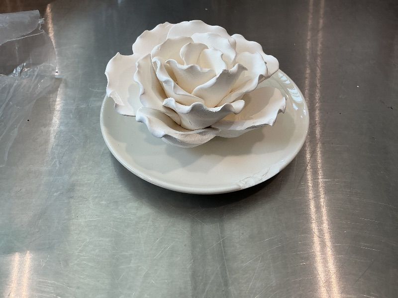 Photo 1 of [Chipped on side] Passive Diffuser for Essential Oil-Ceramic Diffuser Non Electric Oil Diffusers for Small Mini Room, Desk Decorative, Bathroom (White Hibiscus)