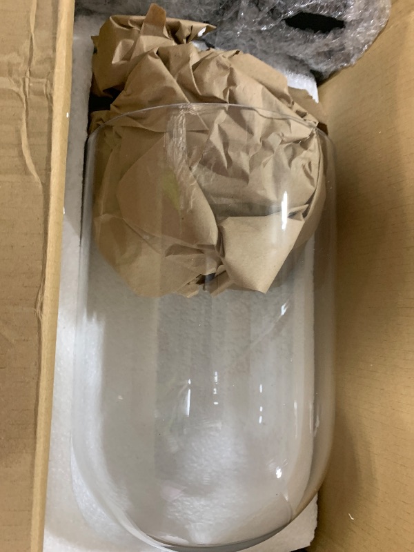 Photo 1 of AceOrbit Glass Dome Cloche Display with Wood Base