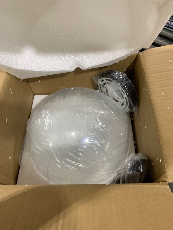 Photo 1 of H XD GLOBAL Clear Glass Globe Pendant Light (25cm)