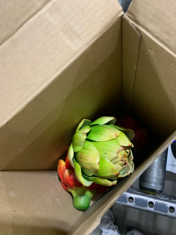 Photo 1 of Timgle 6 Pcs Faux Artichokes