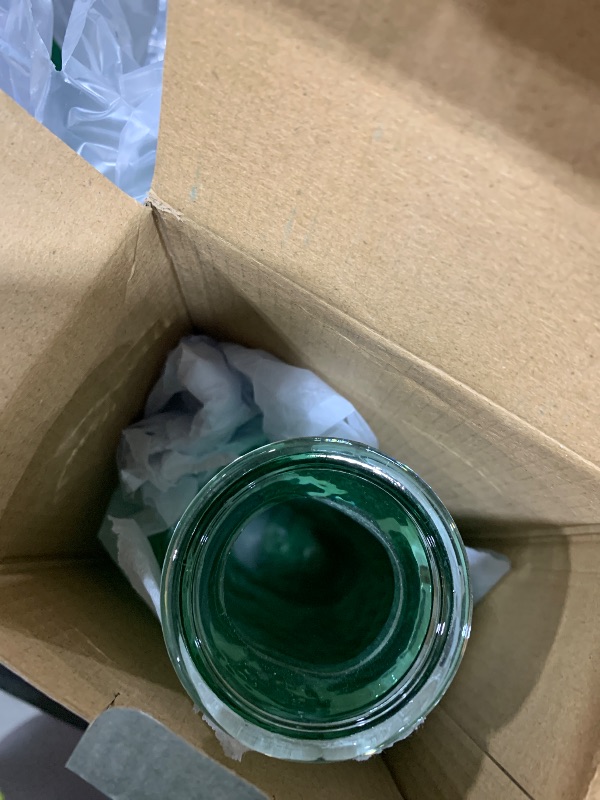 Photo 1 of Serax Fish & Fish Glass Water Pitcher - 28.74 fl oz Green