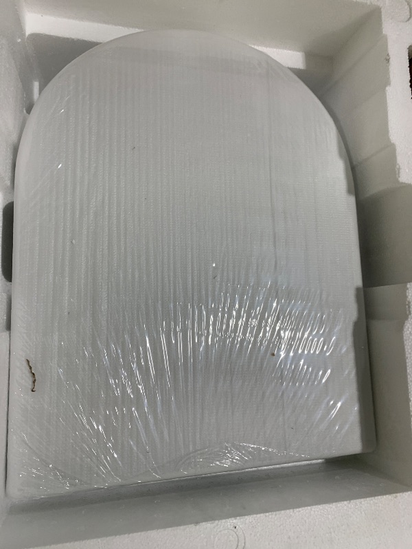 Photo 1 of large one piece toilet