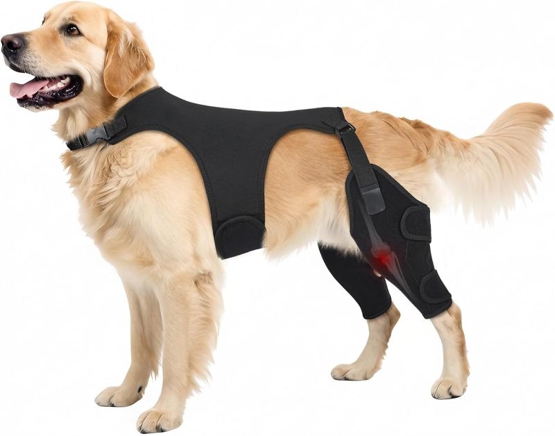 Photo 1 of Pawfun Dog Knee Brace for Torn ACL Hind Leg, Dog Leg Braces for Back Leg Support with 4 Metal Stabilizers Helps with Torn CCL,XL-N139-7