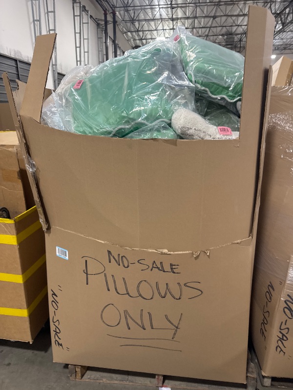 Photo 1 of Nellis Variety Box: Pallet | Pillow Bundle
