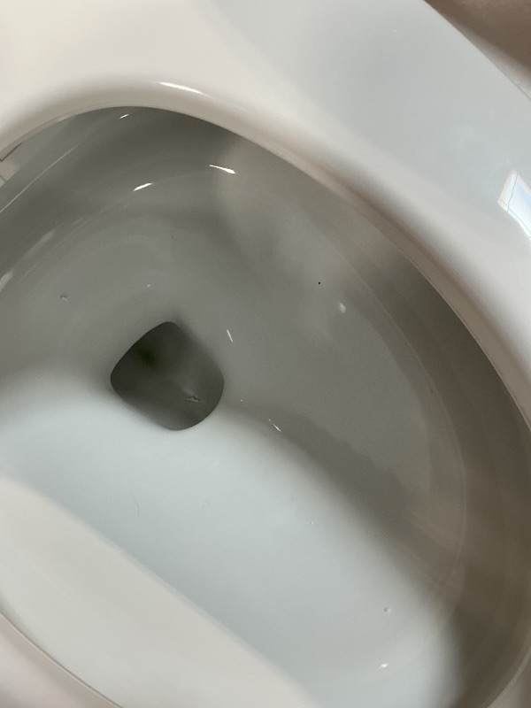 Photo 1 of **DIRT**CANEST Smart Toilet with ADA Chair Height, Foam Dispenser, 1.1/1.6GPF Dual-Flush Bidet Toilet, 12" Rough-in, One Piece Toilet, Eco Mode, Auto Open/Close, Warm Water/Dryer, Self-Cleaning, Deodorization