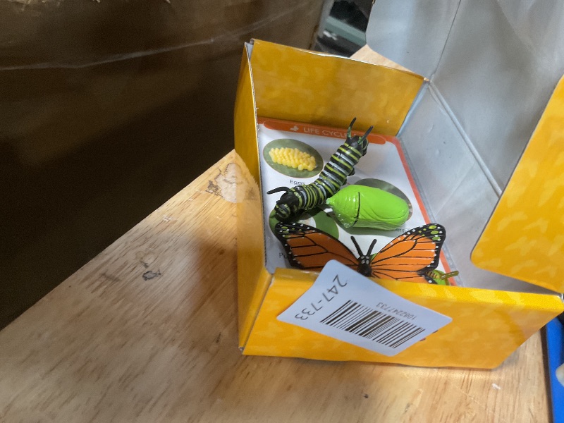Photo 1 of 15 Butterfly Life Circle Flashcards with 4 Plastic Figurines, Butterflies Introduction Cards Plastic Insects Egg to Butterfly Kit Toy for Kids, Adults, Animal Lovers