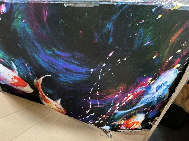 Photo 1 of **HAS DAMAGED CORNER*** Coi fish multicolor Picture