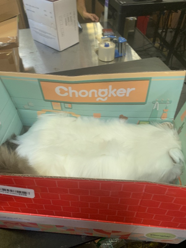 Photo 1 of Percy Companion Ragdoll Robotic Cat for Seniors with Heartbeat & Motion