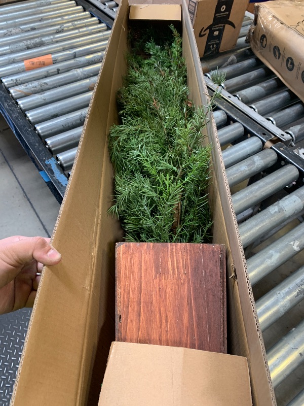Photo 1 of Nearly Natural 4ft. Alpine Natural Look Artificial Christmas Tree in Wood Planter with Pine Cones