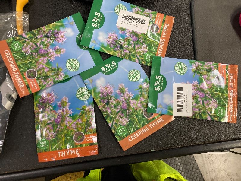 Photo 1 of **5 PACKS** 5000+ Mix Magic Creeping Thyme Seeds Ground Cover for Planting Thyme Seeds
