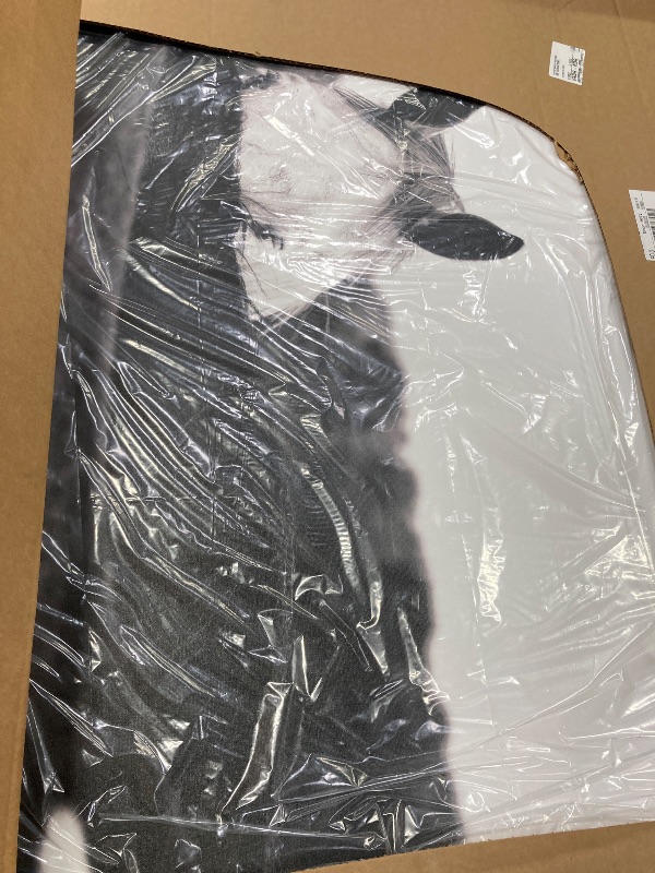 Photo 1 of 'Cow Face Portrait'| Canvas Art