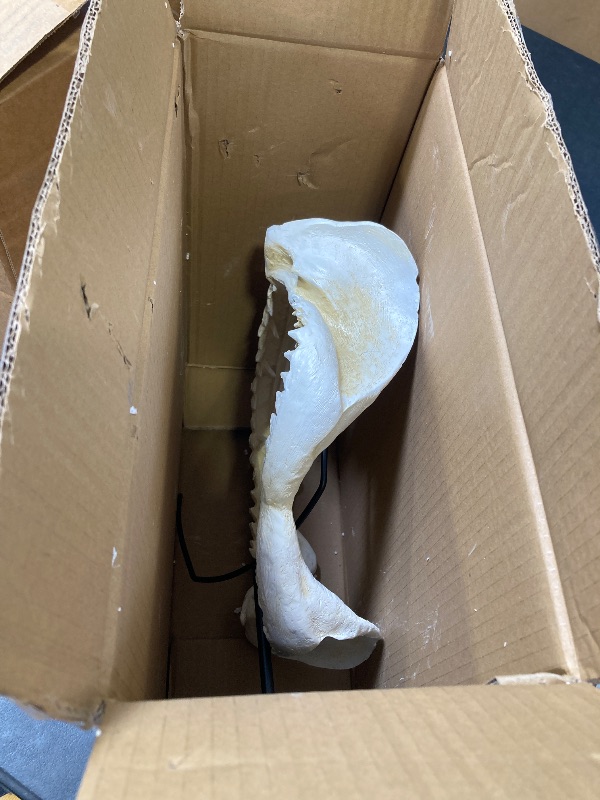 Photo 1 of Design Toscano Shark's Jagged Jaws Statue