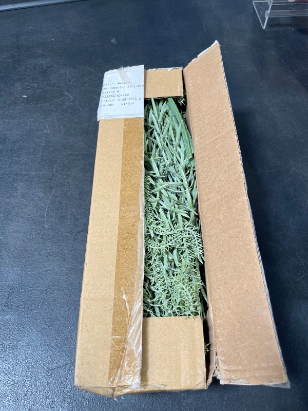 Photo 1 of HyeFlora Artificial Outdoor Plants for Spring Summer Decoration,10PCS Fake Greenery Plants Stems Faux Rosemary Bush Grass Sprigs Branches DIY for Festival Home Kitchen Garden Farmhouse Office Decor