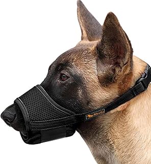 Photo 1 of HEELE Dog Muzzle,Soft Nylon Muzzle Anti Biting Barking Chewing,Air Mesh Breathable Drinkable Adjustable Loop Pets Muzzle for Small Medium Large Dogs 4 Colors 4 Sizes (P- black, XL)