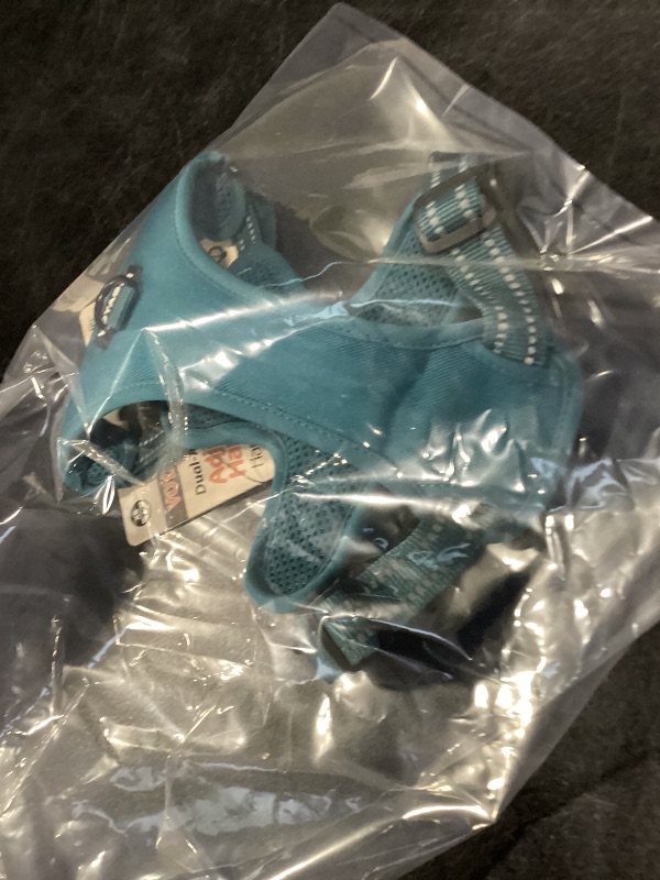 Photo 1 of Voyager Dual Attachment No Pull Harness - Turquoise, X-Small