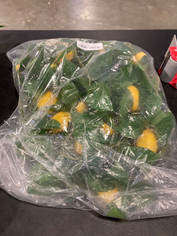 Photo 1 of Dallisten 3 Strands Lemon Artificial Vines, 71" Lemon Silk Vine Garland with Green Leaves, Fake Hanging Plants Greenery Decor for Home, Bedroom, Wall, Party, Wedding Decoration
