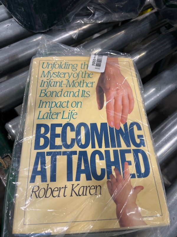 Photo 1 of Becoming attached