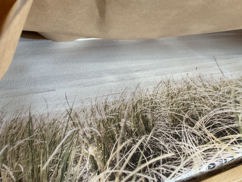 Photo 1 of LARGE CANVAS ART