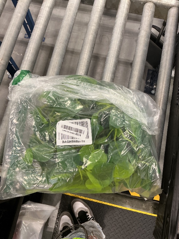 Photo 1 of MVOVM Artificial Pothos Vines - 2 Pack Greenery Garlands
