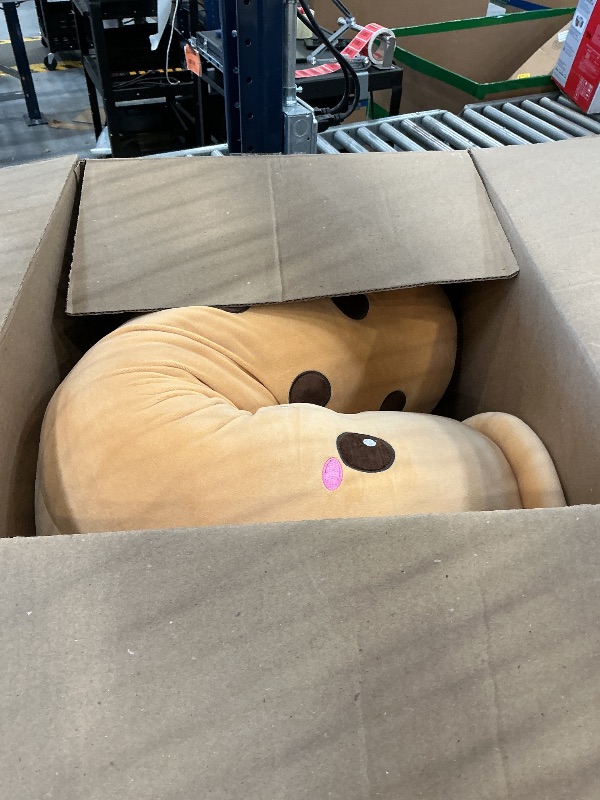 Photo 1 of Rexinc 43" Boba Plush Pillow