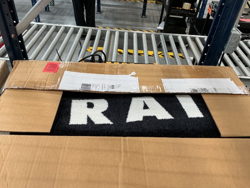 Photo 1 of FANMATS Las Vegas Raiders Plush Area Rug, Team Color