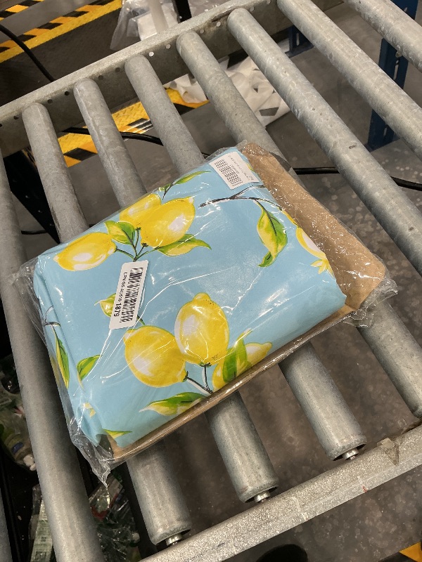 Photo 1 of Walrus Heavy Duty Vinyl Tablecloth - Lemon, 60x84 Inch