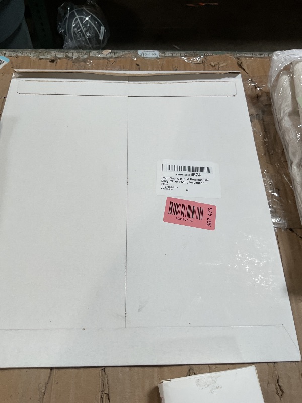 Photo 1 of ‘Your One Wild and Precious Life’ Mary Oliver Poetry Inspirational Wall Art | 11x14 UNFRAMED Warm Vintage Paper Print | Encouraging, Positive, Modern, Typography Home Decor