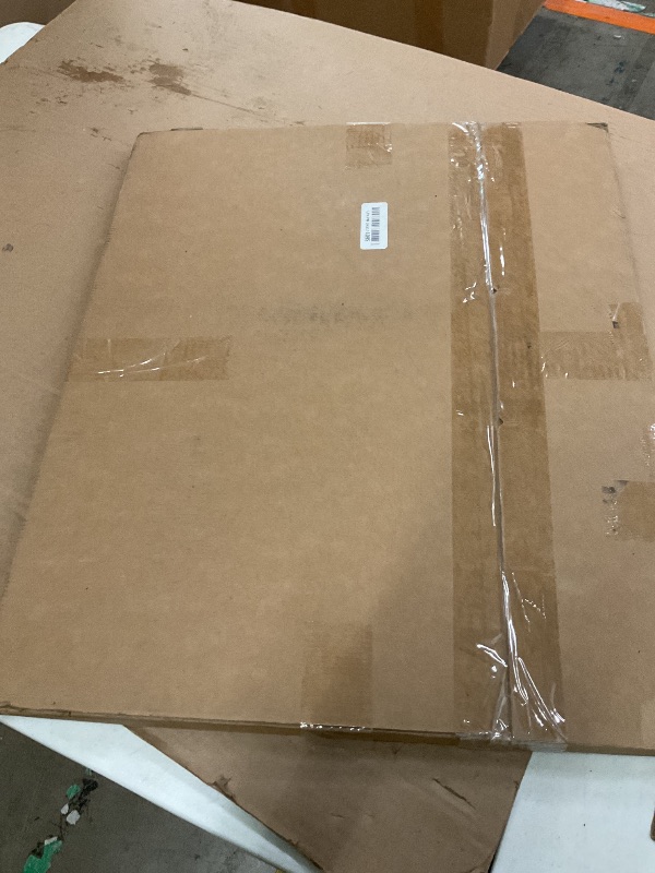 Photo 1 of Cardboard People Blank Champagne Bottle Cardboard Cutout