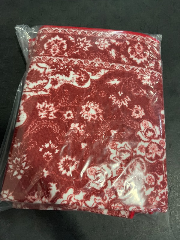 Photo 1 of Brentwood Red/Ivory 2 ft. x 3 ft. Distressed Border Medallion Area Rug