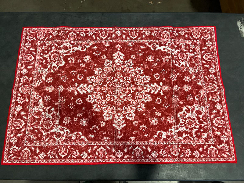 Photo 1 of Brentwood Red/Ivory 2 ft. x 3 ft. Distressed Border Medallion Area Rug