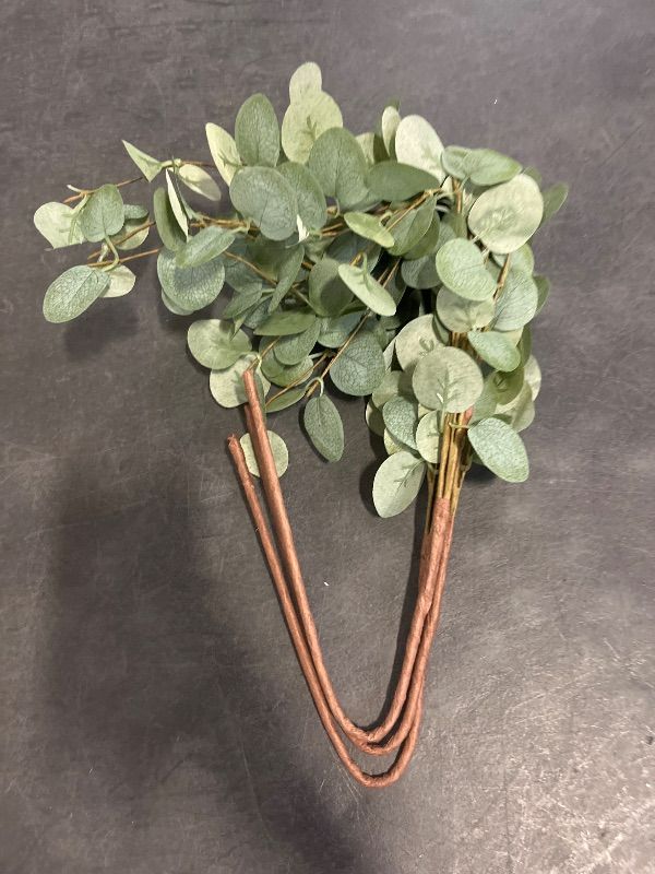 Photo 1 of 24 in. Green Artificial Eucalyptus Stems 6-Pieces