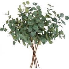 Photo 1 of 24 in. Green Artificial Eucalyptus Stems 6-Pieces