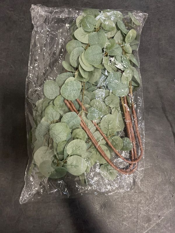 Photo 1 of 24 in. Green Artificial Eucalyptus Stems 6-Pieces