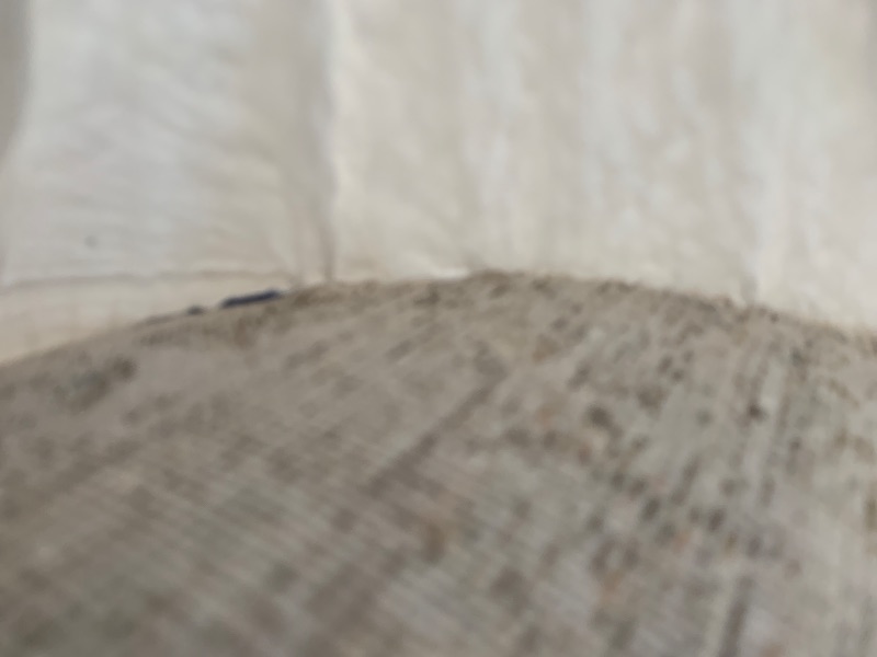 Photo 1 of Loloi Amber Lewis Honora 9'-6" x 13' Area Rug