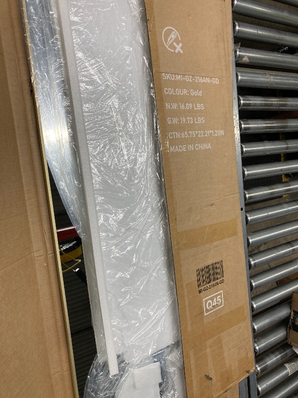 Photo 1 of 
Full Length Mirror 63 x 20 in Floor Mirror with Adjustable LED Light Strip, Aluminum Alloy Frame, Glass, Free Standing or Wall Mount, Silver