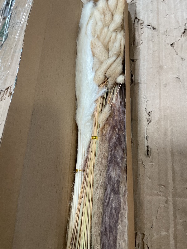 Photo 1 of 100 PCS Small Boho Pampas Grass, 17" Naturally Dried Pompas, Pampas Grass Decor for Wedding , Boho Party Decorations, Table Decor?Brown and White?