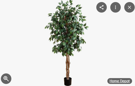 Photo 1 of ***PHOTO FOR ITEM REFERENCE MAY NOT BE EXACT **** Nearly Natural 5' Ficus Silk Tree