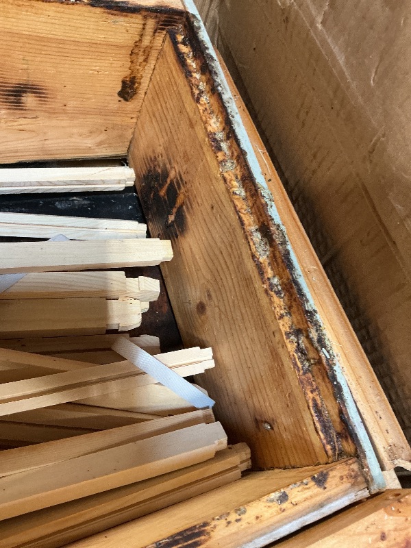 Photo 1 of **dirt**MayBee 8 Frame Beehive Kit with Screened Bottom Board
