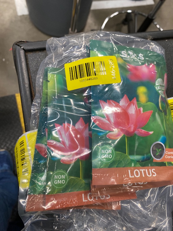 Photo 1 of **5 PACKS** 35 pcs Bowl Lotus Seeds Mixed Water Lily for Planting Water Features Bonsai