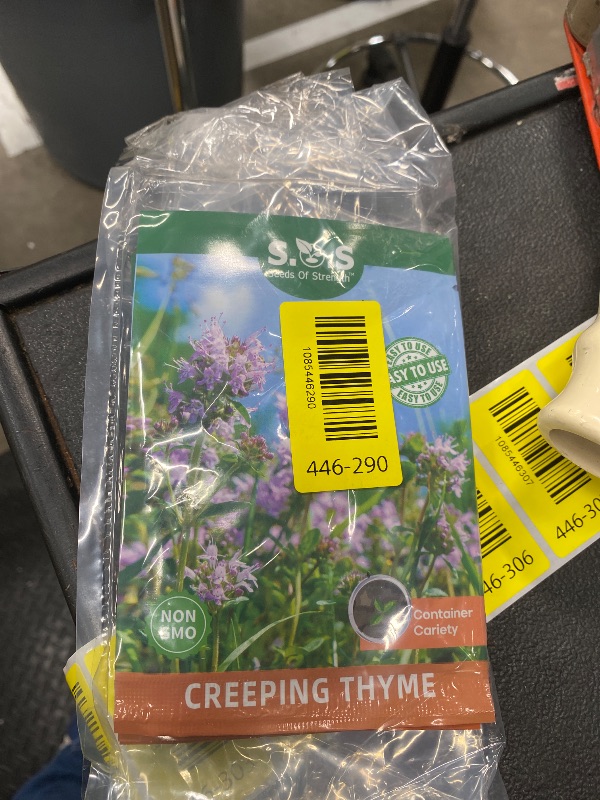 Photo 1 of **5 PACKS** 5000+ Mix Magic Creeping Thyme Seeds Ground Cover for Planting Thyme Seeds