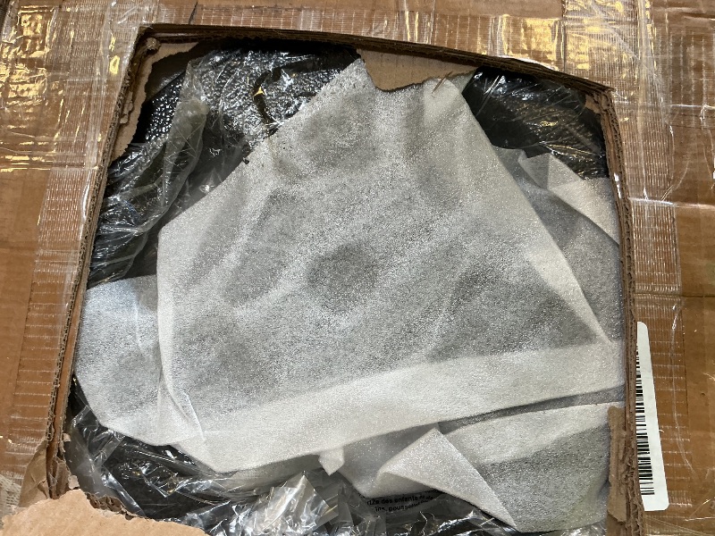 Photo 1 of CAP Barbell 25 lbs Weight Plates (2-Pack)
