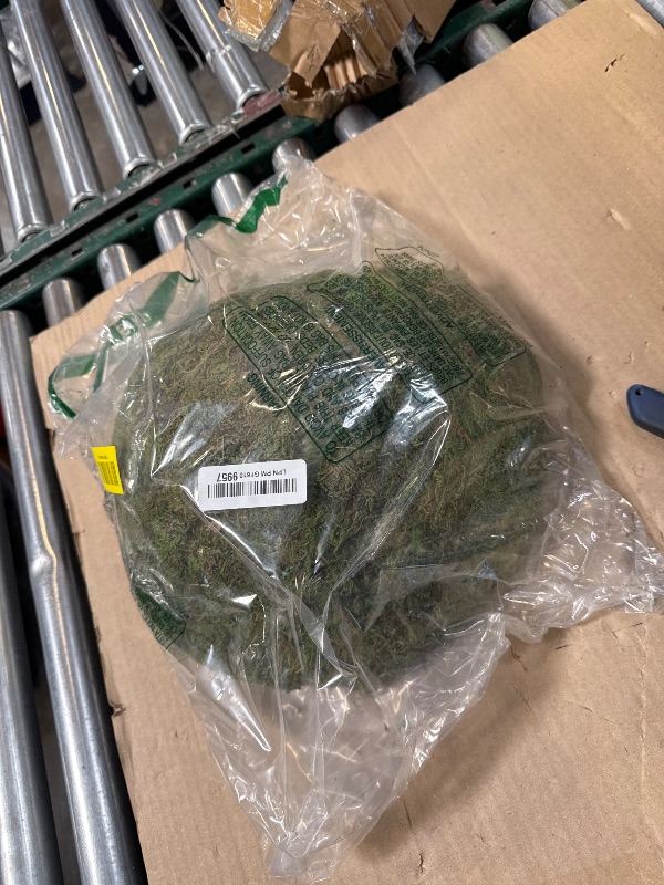 Photo 1 of SuperMoss Round Moss Hanging Basket - Fresh Green, Medium