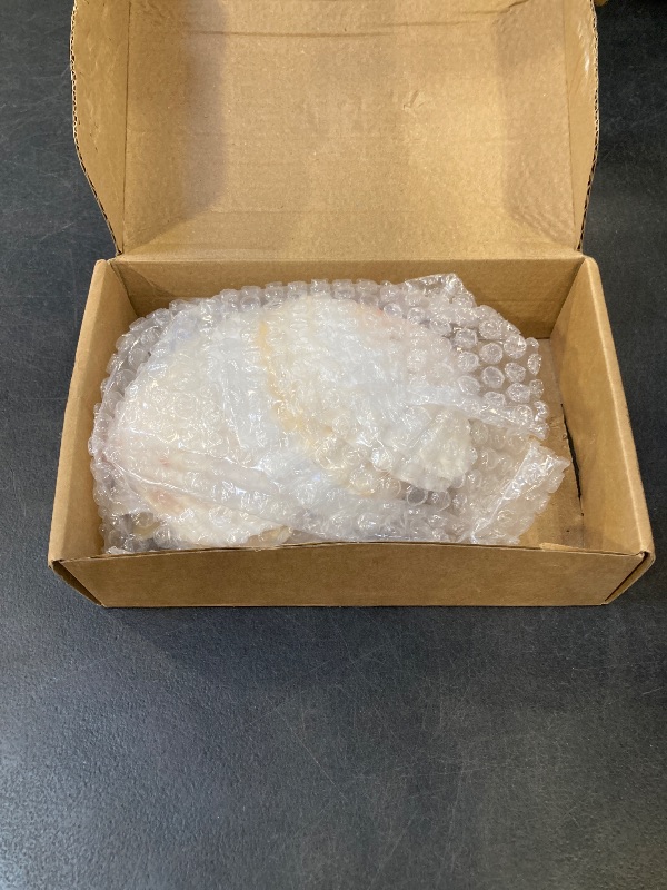 Photo 1 of TaoQ C 12 PCS Scallop Shells Natural Seashell, 4" to 5" White and Pink Scallop Shells Small Seashells for Crafts Wedding Decor Beach Theme Party, Fish Tank and Vase Filler