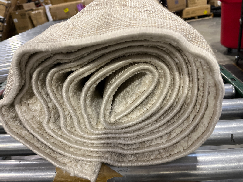 Photo 1 of Loloi Amber Lewis Monty Area Rug (9'-2" x 13', Ivory/Beige)
