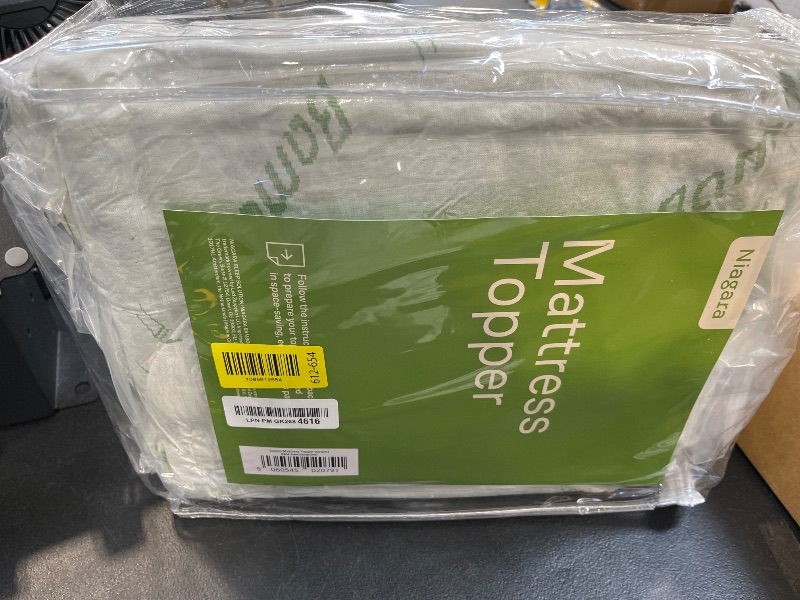 Photo 1 of Niagara Sleep Solution Ultra Soft Queen Size Mattress Topper - Rayon Derived from Bamboo Pillow Top Mattress Pad for Back Pain Relief - Naturally Cooling for Hot Sleepers, Green